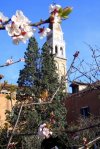San Francesco della Vigna - history